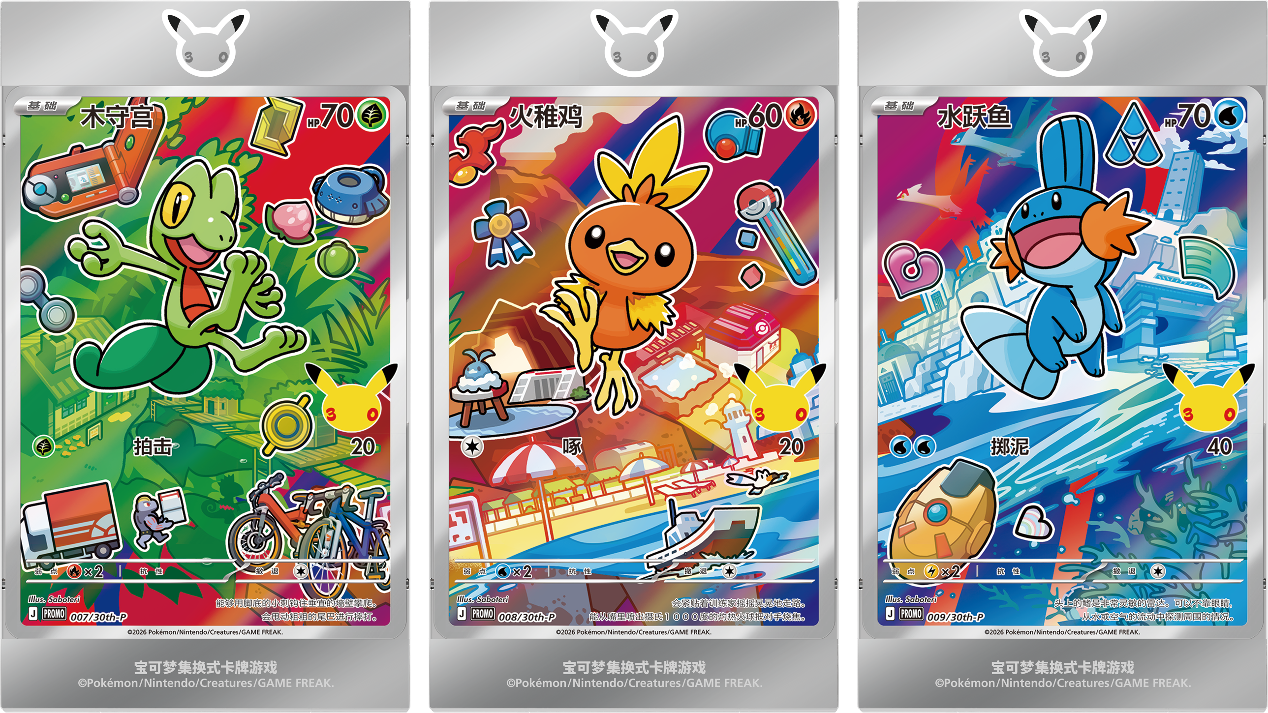 Treecko, Torchic, and Mudkip displayed in three connected Vol.3 magnetic frames.
