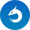 Dragon type icon