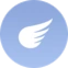 Flying type icon