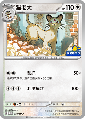 猫老大