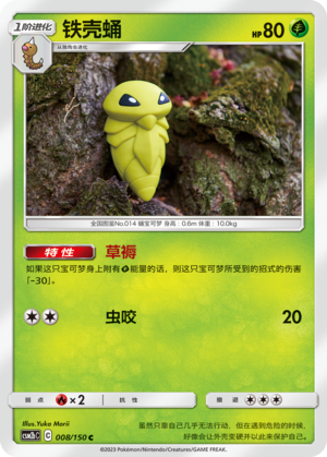 铁壳蛹