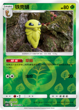 铁壳蛹