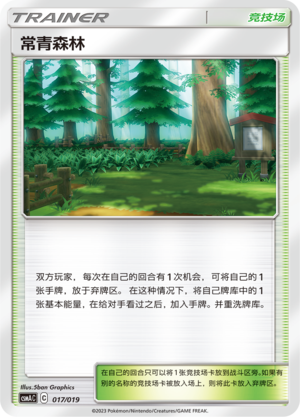 常青森林
