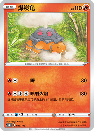 煤炭龟