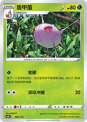 盾甲茧