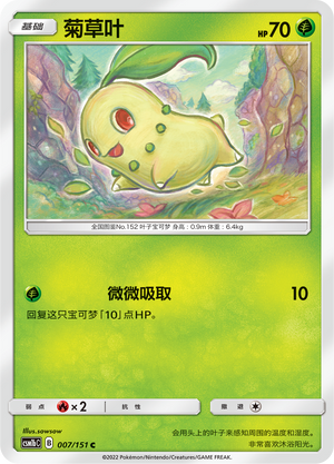 菊草叶