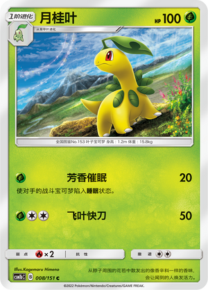月桂叶