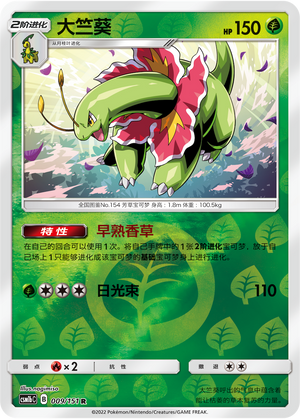 大竺葵
