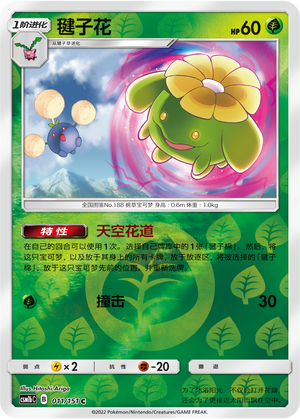 毽子花
