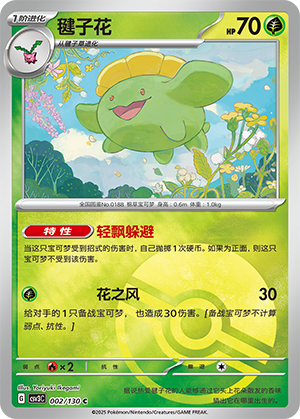 毽子花