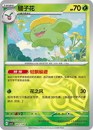 毽子花
