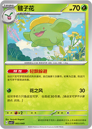 毽子花