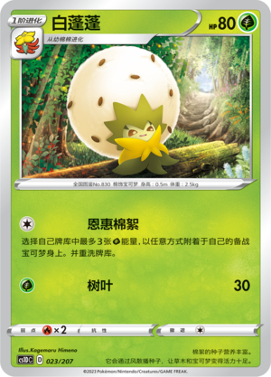 白蓬蓬