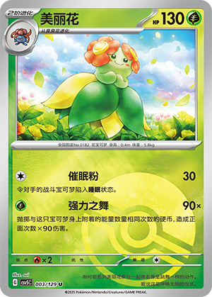 美丽花