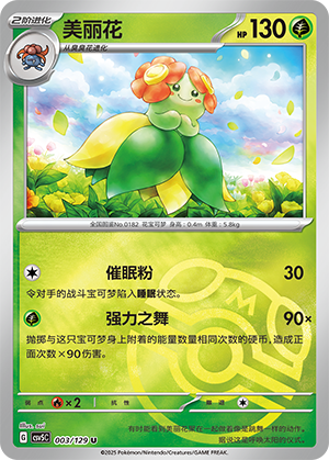 美丽花