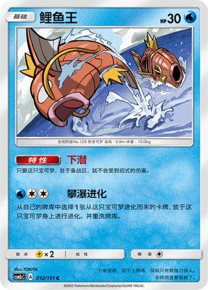 鲤鱼王