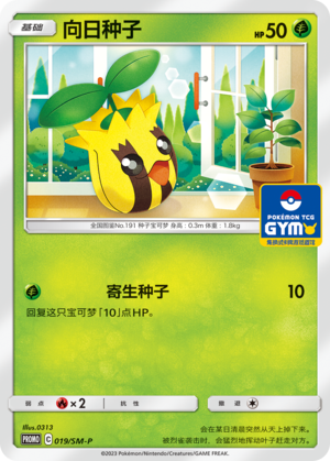 向日种子