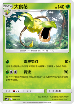 大食花