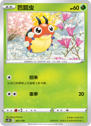 芭瓢虫