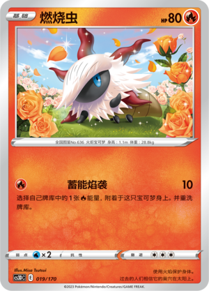 燃烧虫