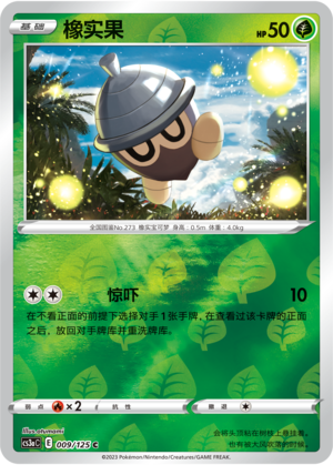 橡实果