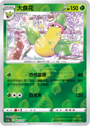 大食花