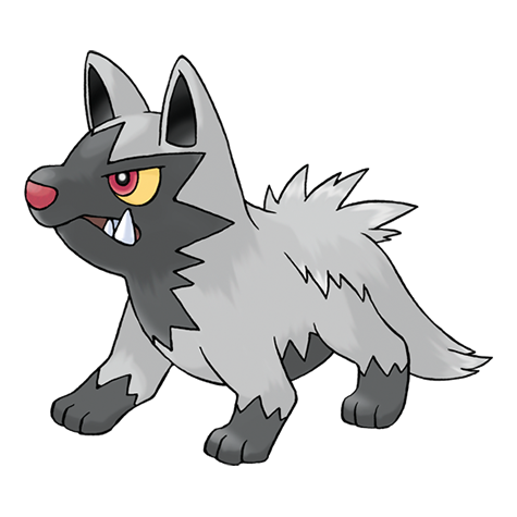 Poochyena - dark type Pokémon #261