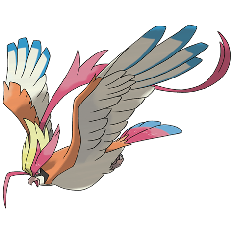 Pidgeot Mega official artwork