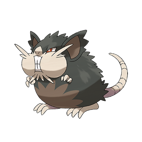 Raticate - dark/normal type Pokémon #10093