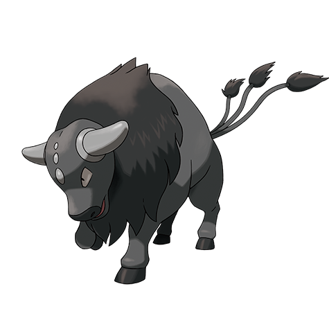 Tauros Paldea Combat Breed official artwork