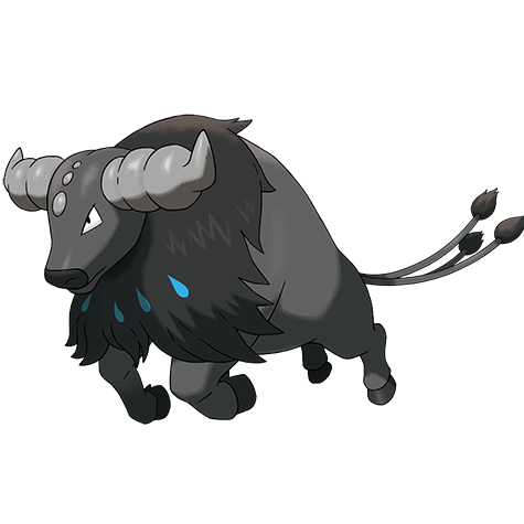 Tauros Paldea Aqua Breed official artwork