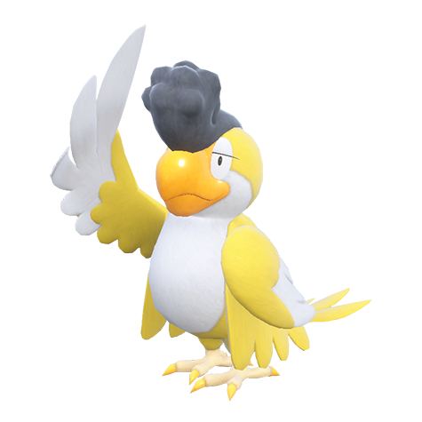 Squawkabilly - normal/flying type Pokémon #10261