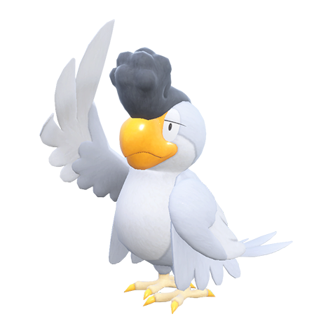 Squawkabilly - normal/flying type Pokémon #10262