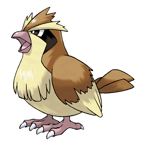 Pidgey - normal/flying type Pokémon #16