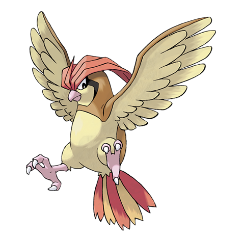 Pidgeotto - normal/flying type Pokémon #17