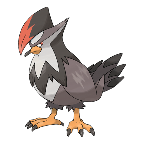 Staraptor - normal/flying type Pokémon #398
