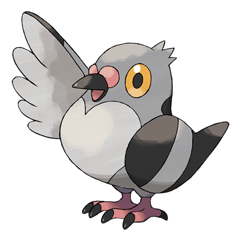 Pidove - normal/flying type Pokémon #519