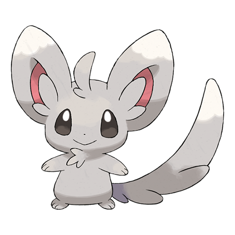 Minccino - normal type Pokémon #572