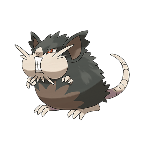 Raticate Alola - Dark/Normal type Pokémon #10092, official artwork