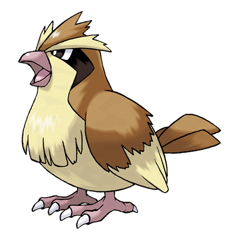 Pidgey - Normal/Flying type Pokémon #16, official artwork