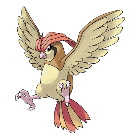 Pidgeotto - Normal/Flying type Pokémon #17, official artwork