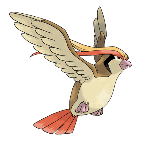 Pidgeot - Normal/Flying type Pokémon #18, official artwork