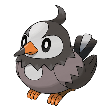 Starly - Normal/Flying type Pokémon #396, official artwork