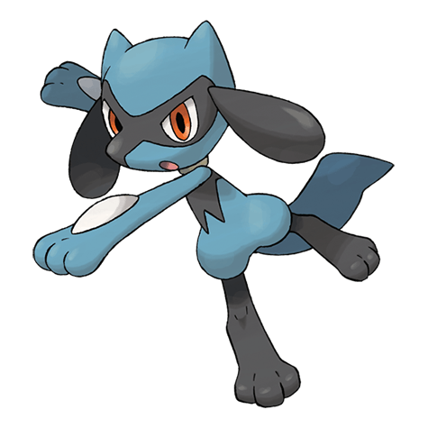 Riolu - Fighting type Pokémon #447