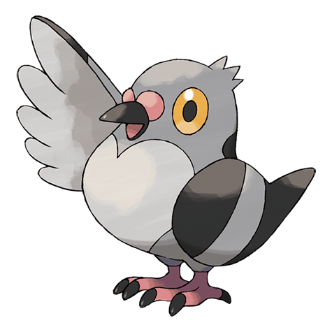 Pidove - Normal/Flying type Pokémon #519, official artwork