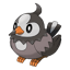 Starly