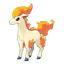 Ponyta