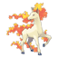 Rapidash